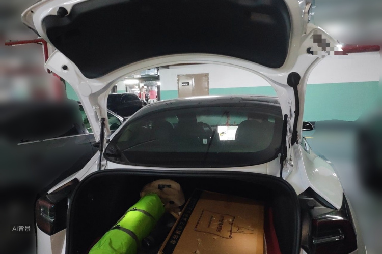Tesla Model 3 2020 car image #21