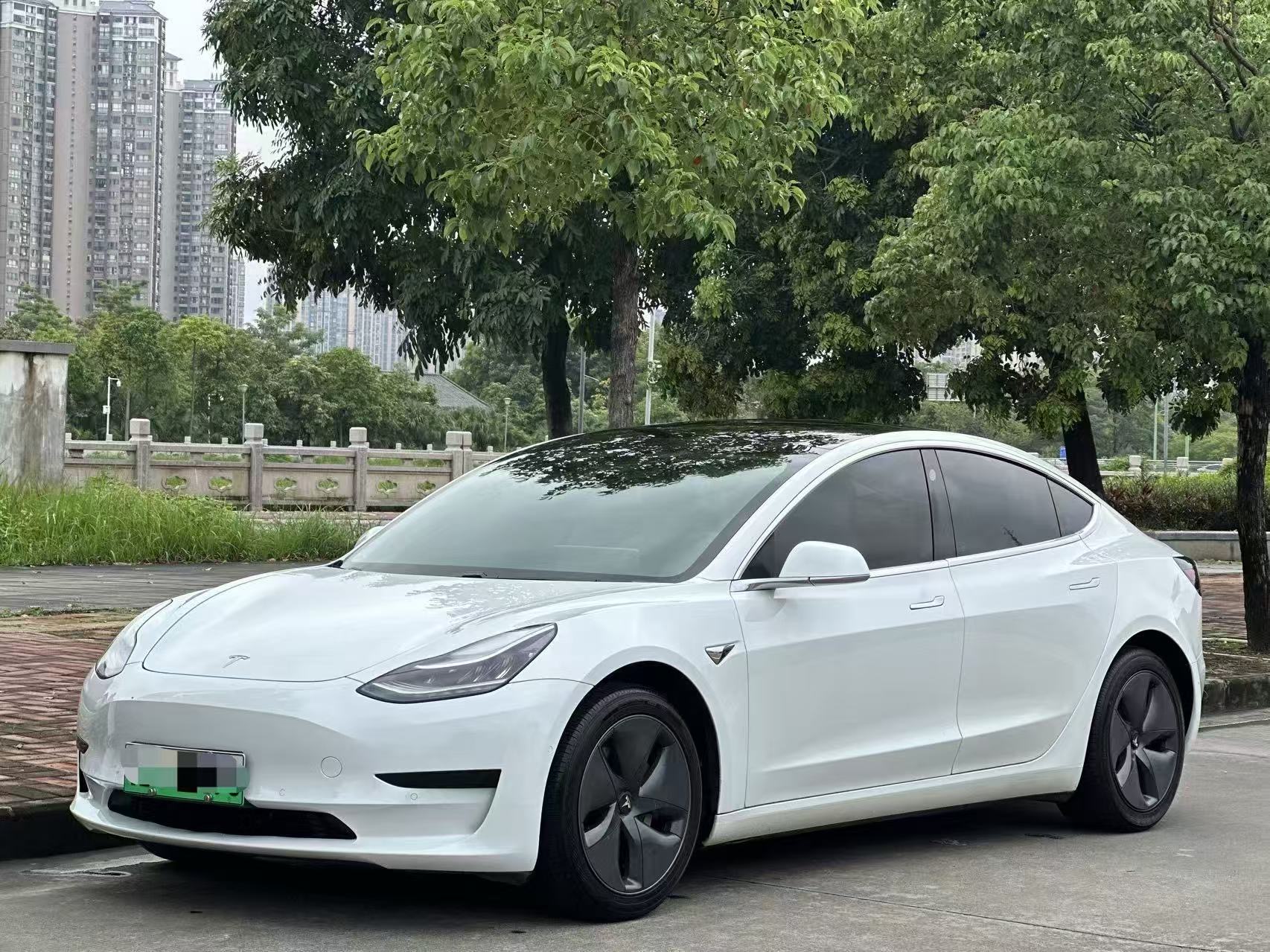 Tesla Model 3 2020 Tesla Model 3 2020 car image