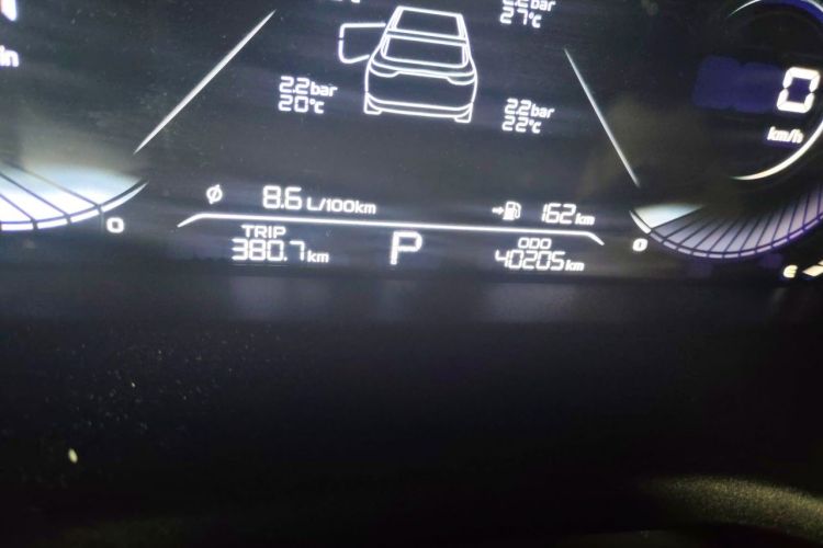 GEELY Emgrand 2022 immagine di auto #8