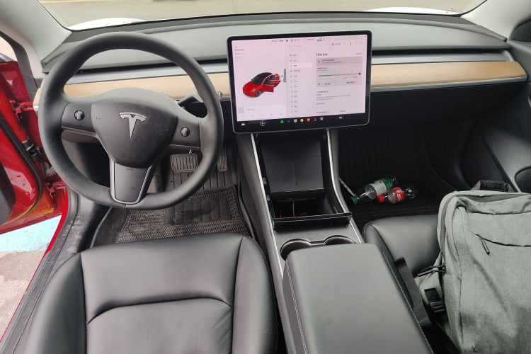 Tesla Model 3 2020 immagine di auto #12