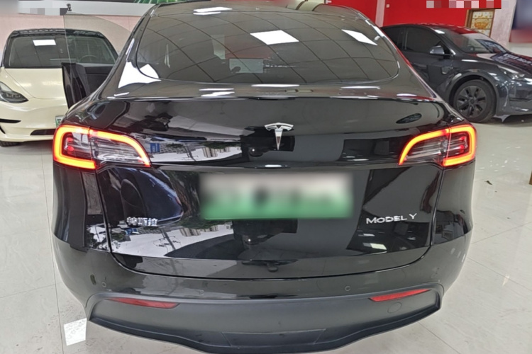 Tesla Model Y 2021 car image #6