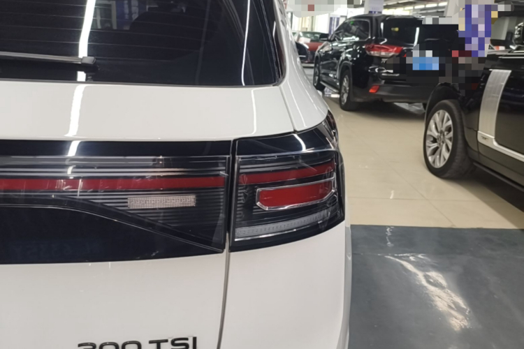 Volkswagen Tharu 2024 #8 Volkswagen Tharu 2024 immagine di auto #8