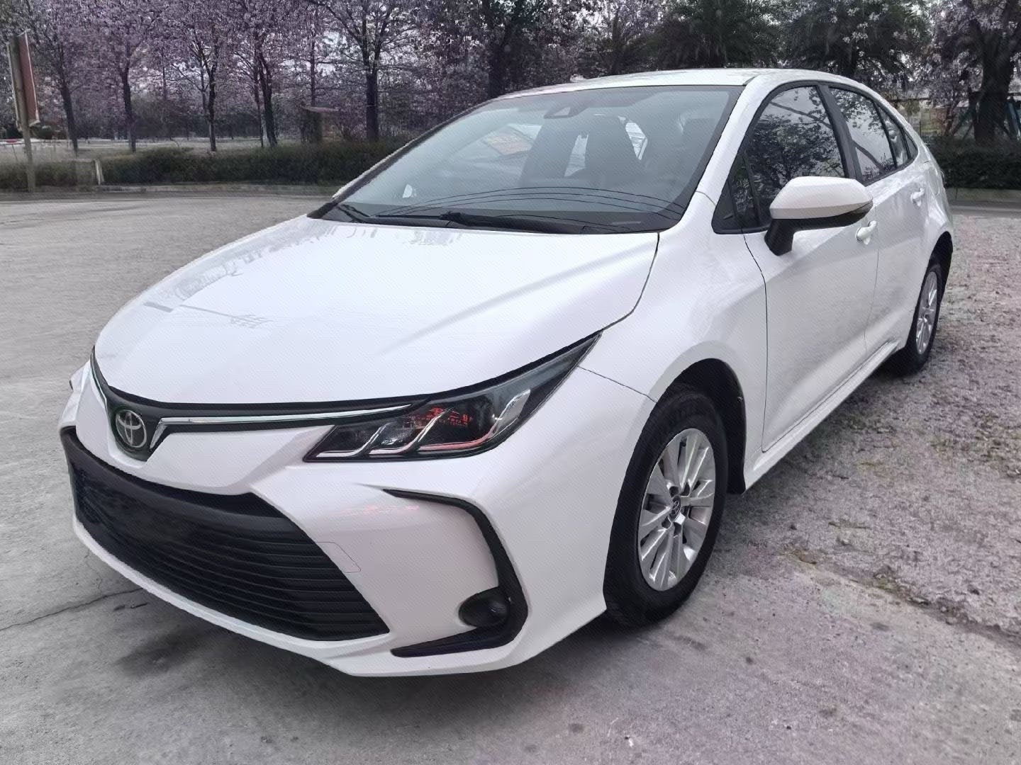 Toyota Corolla 2023 Toyota Corolla 2023 car image