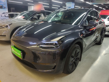 Tesla Model Y 2024 Tesla Model Y 2024 car image