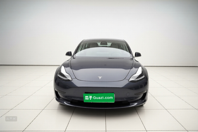 Tesla Model 3 2020 car image #3