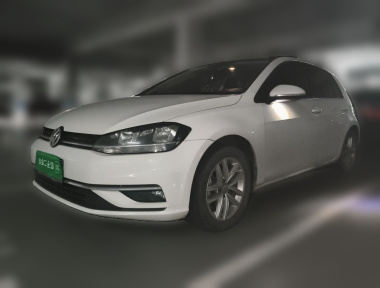 Volkswagen Golf 2019 Volkswagen Golf 2019 car image