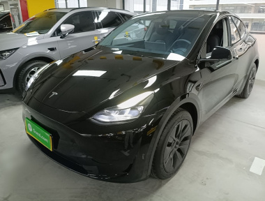 Tesla Model Y 2024 Tesla Model Y 2024 car image