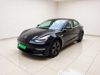 Tesla Model 3 2020 car image 