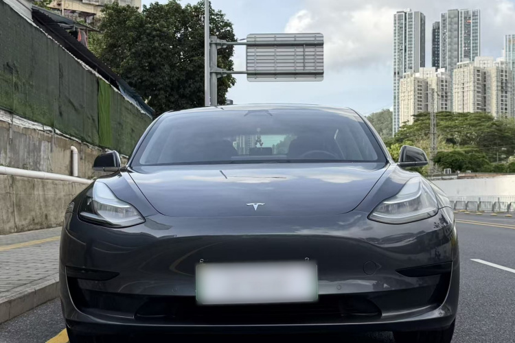 Tesla Model 3 2020 car image #6