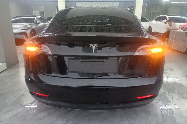 Tesla Model 3 2022 #6 Tesla Model 3 2022 car image #6