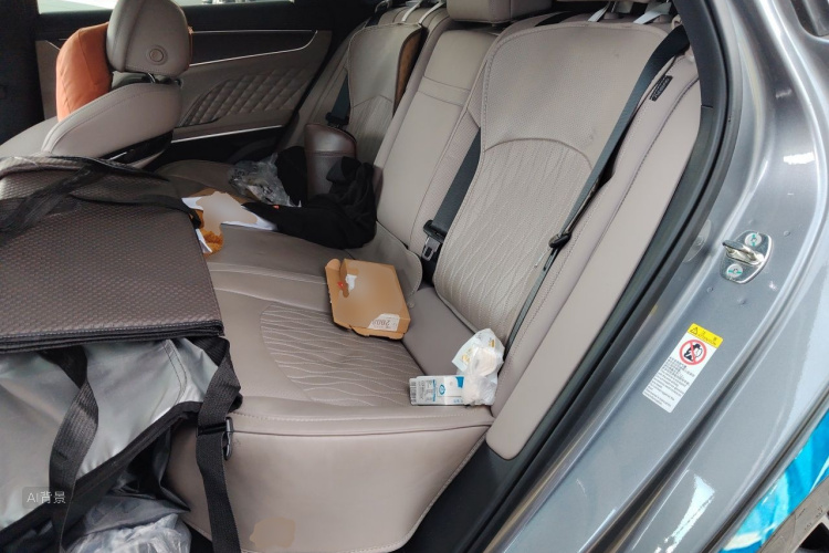 BYD Han 2024 car image #19