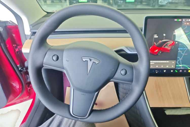 Tesla Model 3 2020 car image #11