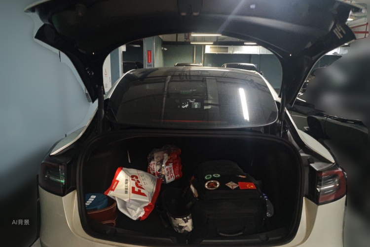 Tesla Model 3 2021 #21 Tesla Model 3 2021 car image #21