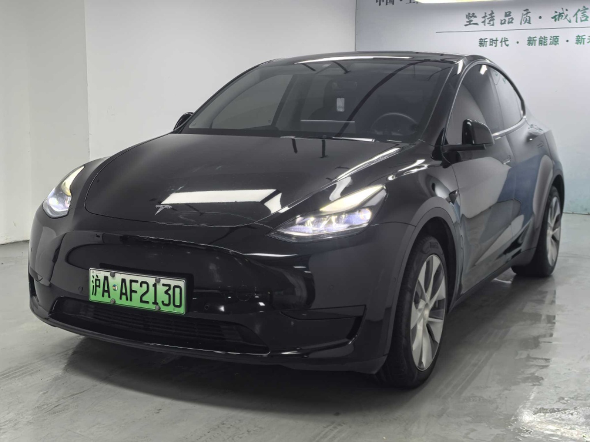 Tesla Model Y 2022 Tesla Model Y 2022 car image