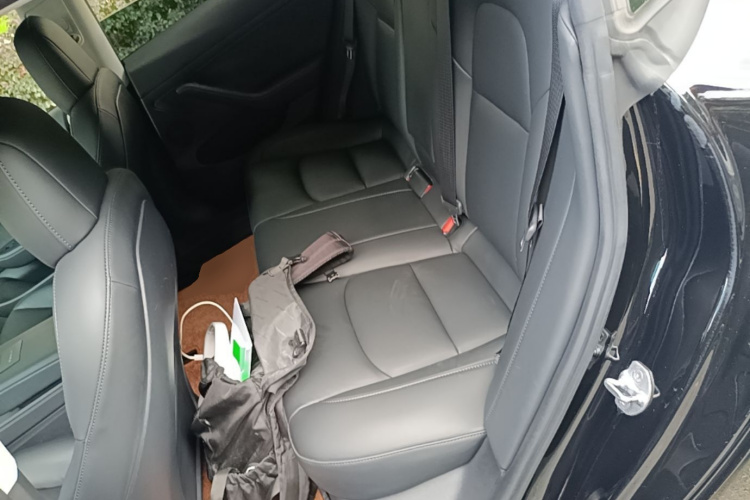 Tesla Model 3 2021 #13 Tesla Model 3 2021 car image #13