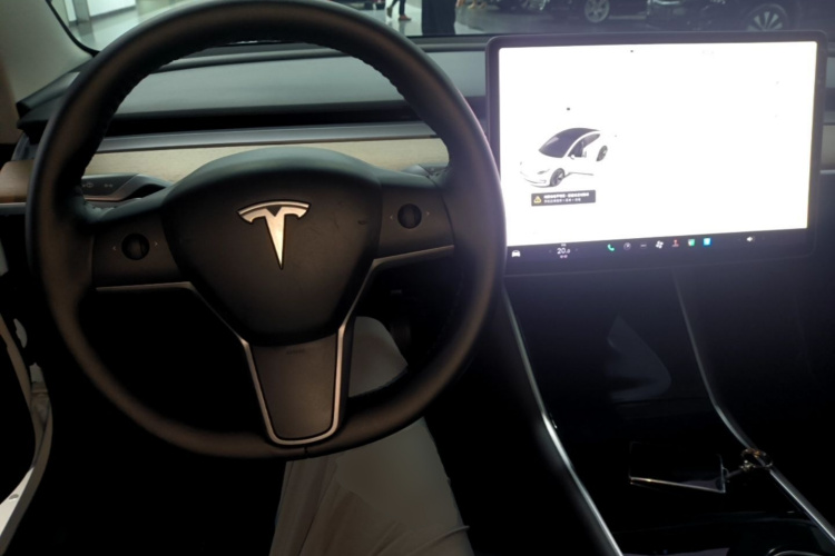 Tesla Model 3 2020 #10 Tesla Model 3 2020 car image #10