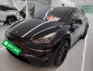 Tesla Model Y 2023 car image 