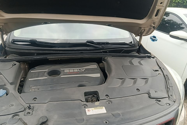 GEELY Emgrand GS 2018 car image #20