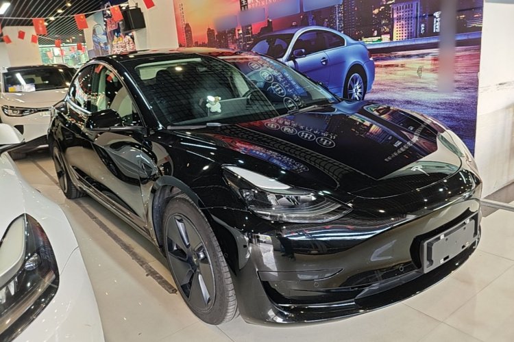 Tesla Model 3 2021 imagem de carro #6