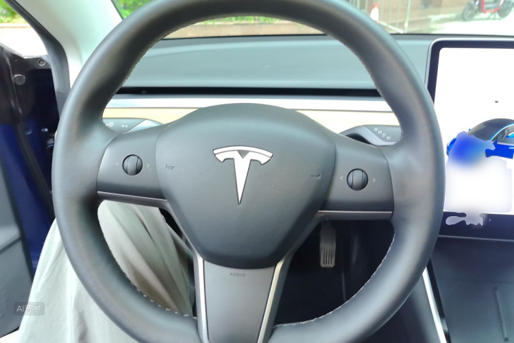 Tesla Model 3 2020 car image #12