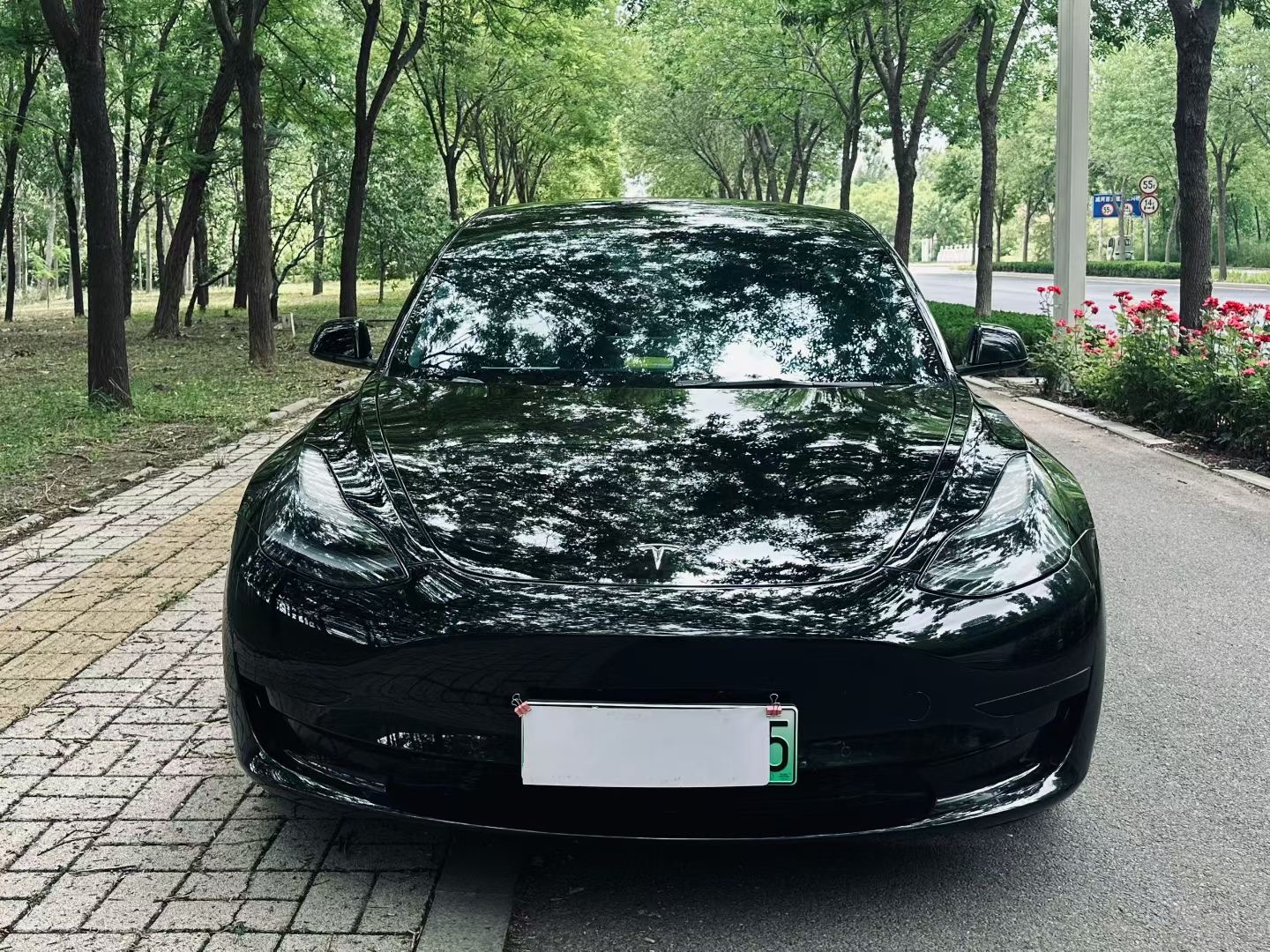 Tesla Model 3 2023 #2 Tesla Model 3 2023 car image #2