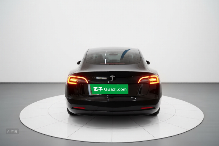 Tesla Model 3 2022 car image #6