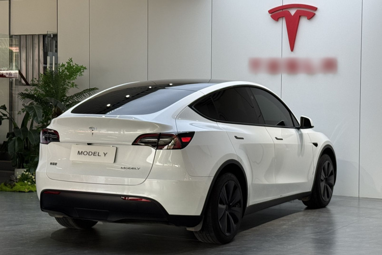 Tesla Model Y 2024 #5 Tesla Model Y 2024 car image #5