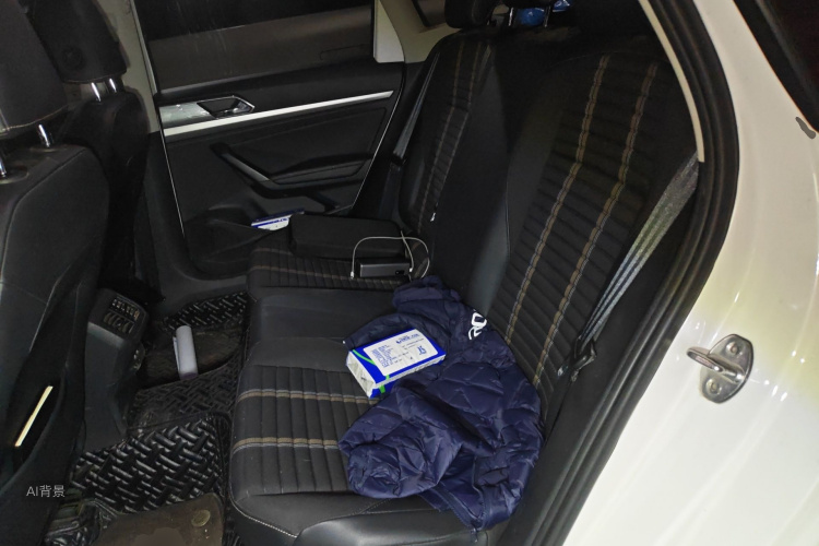 Volkswagen Lavida 2019 car image #19