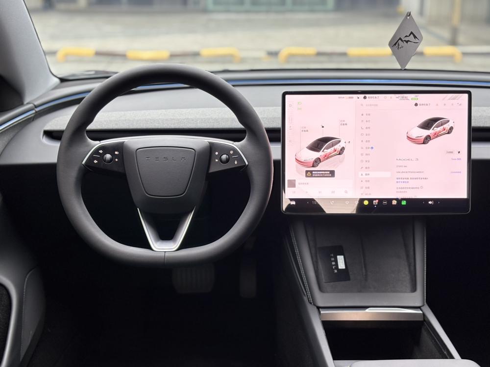 Tesla Model 3 2025 car image #12