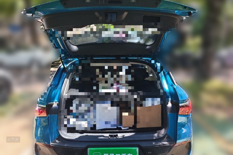 BYD Yuan Plus 2023 #21 BYD Yuan Plus 2023 car image #21
