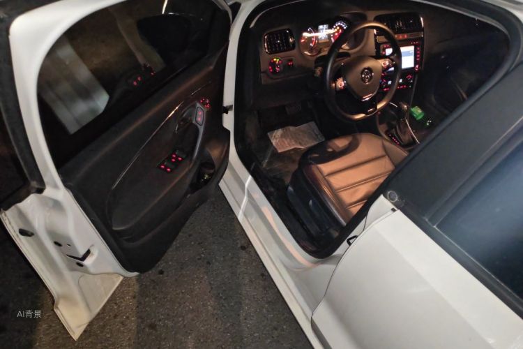 Volkswagen Polo 2016 car image #18