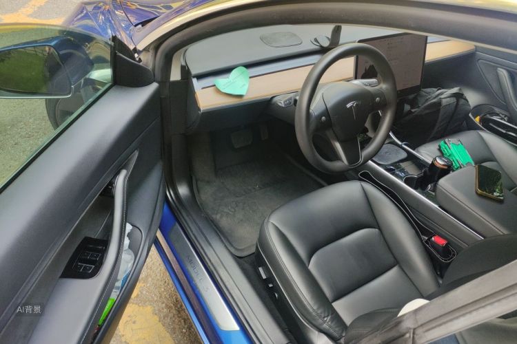 Tesla Model 3 2020 #18 Tesla Model 3 2020 car image #18