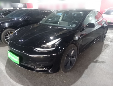 Tesla Model 3 2022 Tesla Model 3 2022 car image