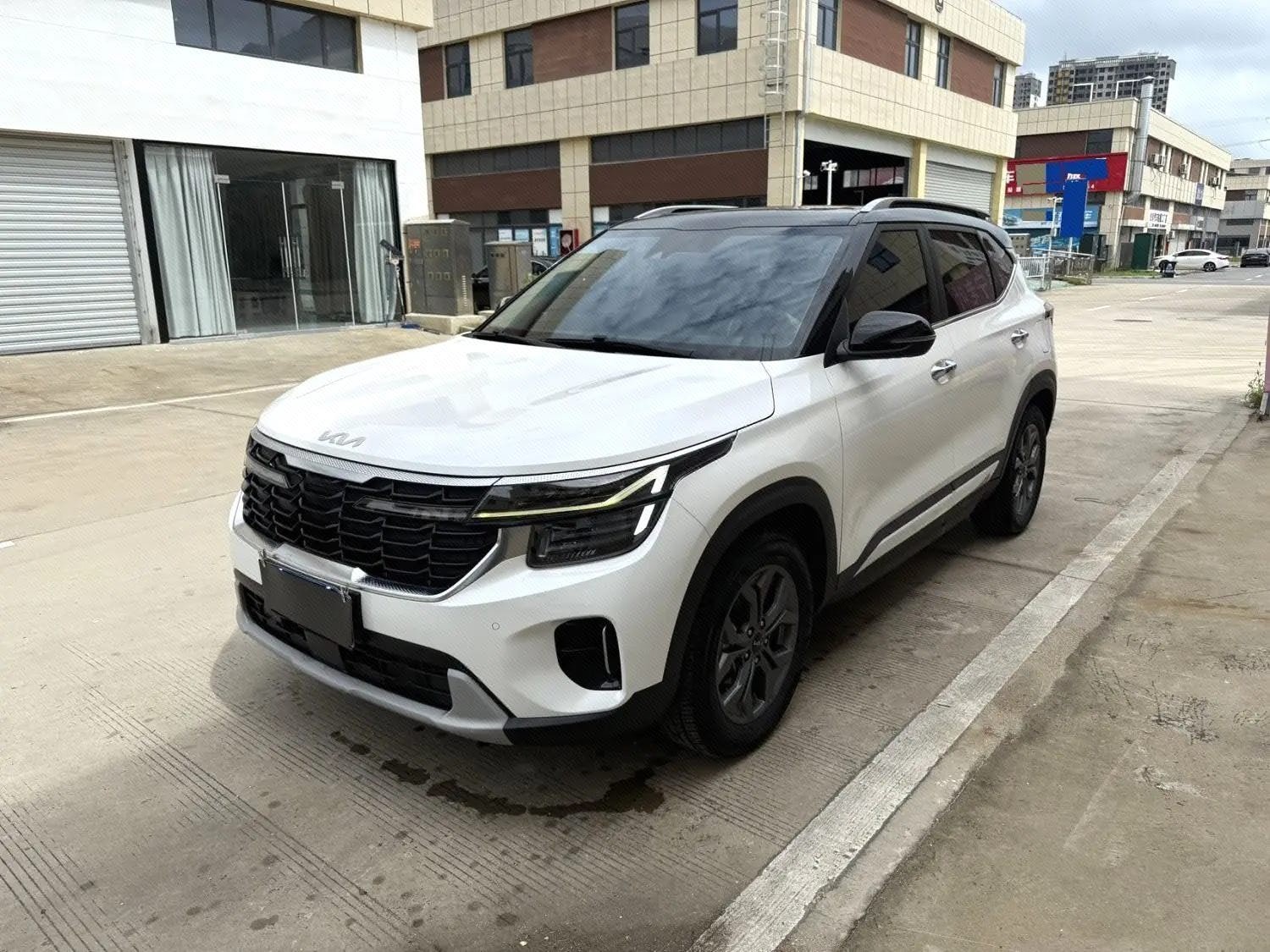 Kia Seltos 2024 car image 