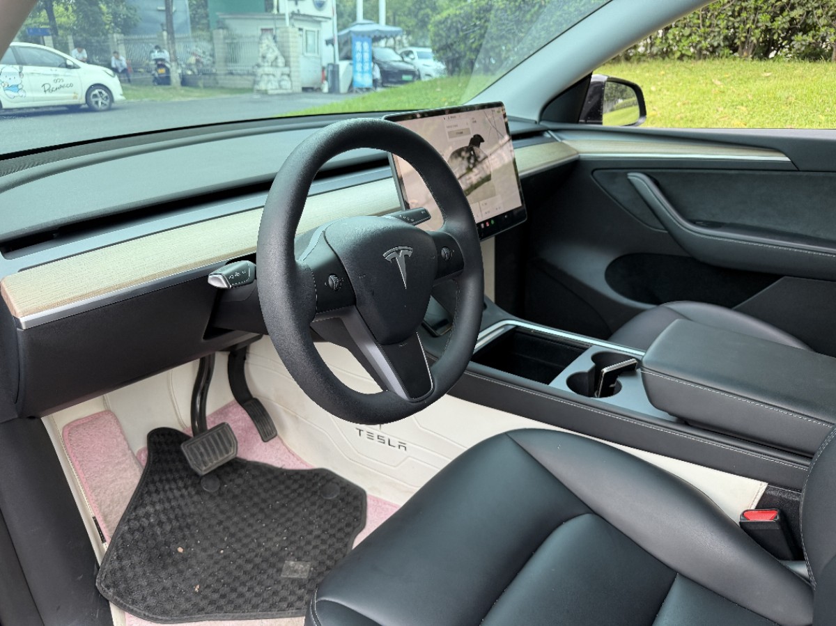 Tesla Model Y 2023 car image #4