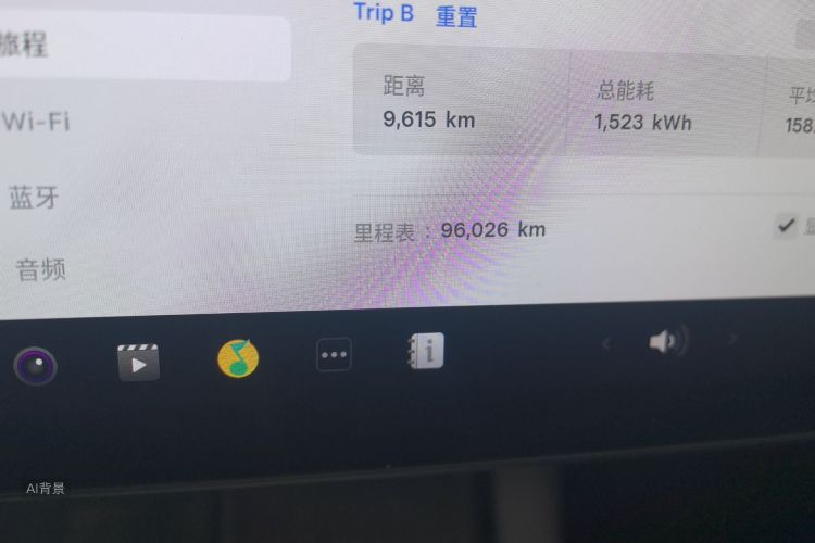 Tesla Model Y 2021 car image #14