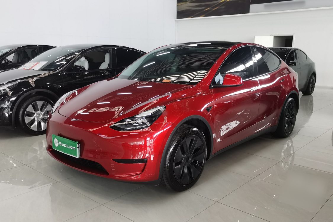 Tesla Model Y 2024 car image 