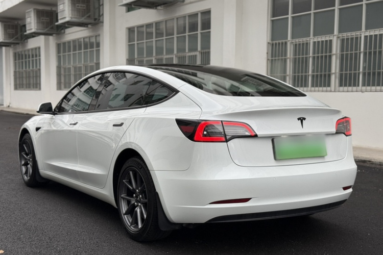 Tesla Model 3 2021 #5 Tesla Model 3 2021 car image #5