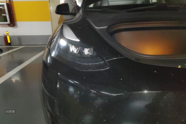 Tesla Model Y 2023 #8 Tesla Model Y 2023 car image #8