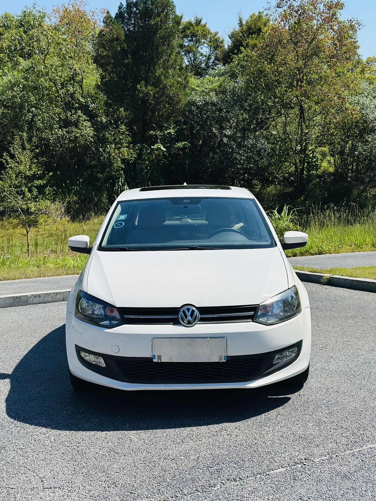 Volkswagen Polo 2011 car image #2