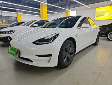 Tesla Model 3 2020 car image 