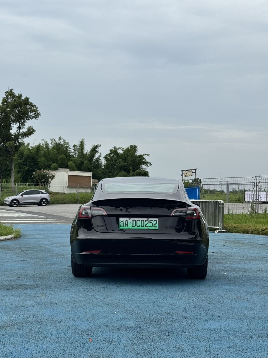 Tesla Model 3 2021 car image #4