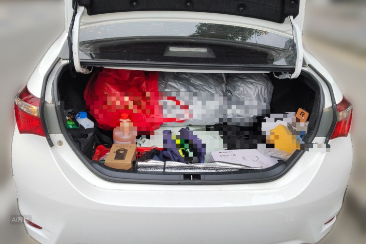 Toyota Corolla 2019 #21 Toyota Corolla 2019 car image #21