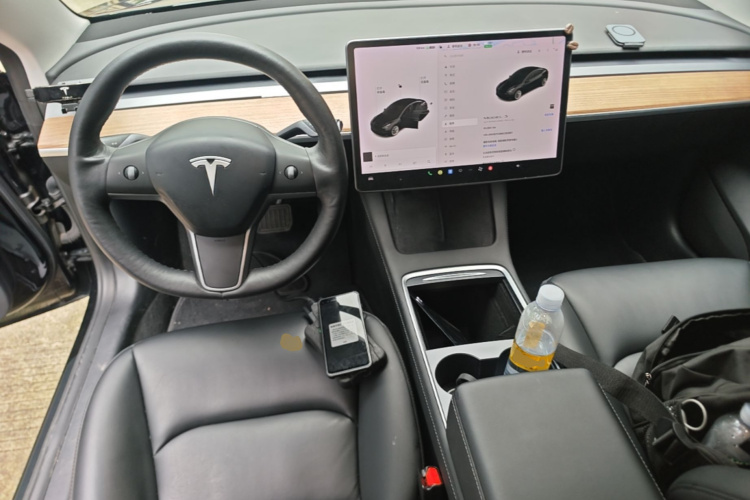 Tesla Model 3 2021 car image #10