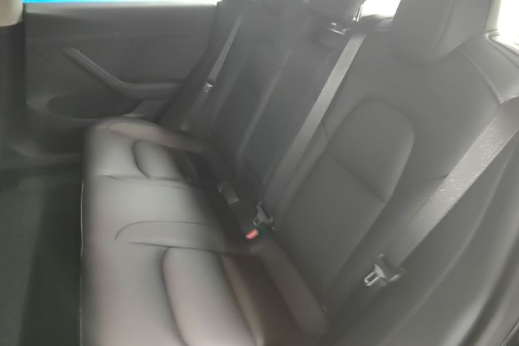 Tesla Model 3 2021 #13 Tesla Model 3 2021 car image #13