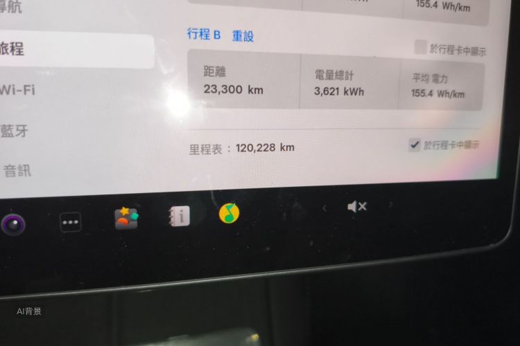 Tesla Model 3 2022 car image #14