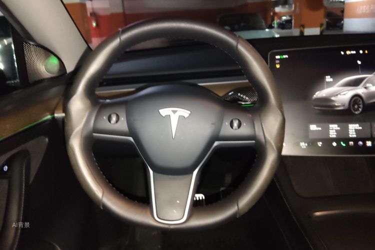 Tesla Model Y 2022 car image #12