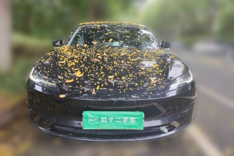Tesla Model 3 2023 #3 Tesla Model 3 2023 car image #3