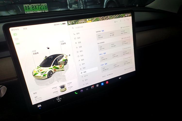 Tesla Model 3 2022 car image #13