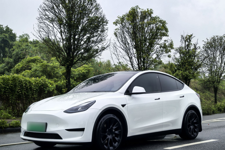 Tesla Model Y 2023 #2 Tesla Model Y 2023 car image #2